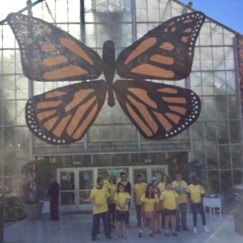 Krohn Conservatory and Eden Park Field Trip 